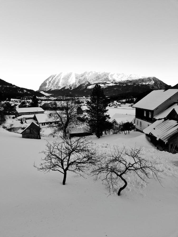 Bergpanorama Apartment Bad Mitterndorf