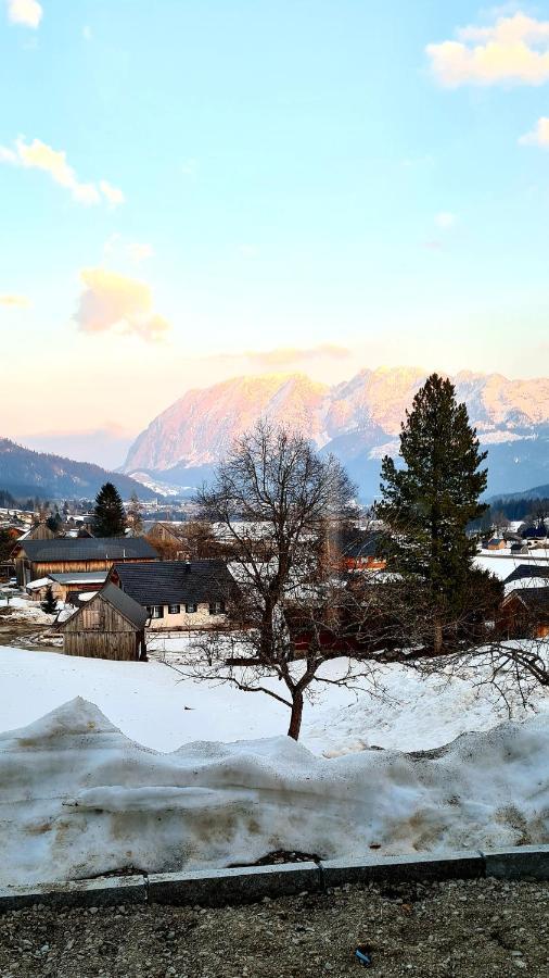 Bergpanorama Apartment Bad Mitterndorf